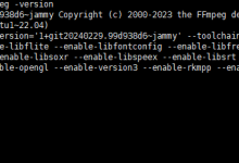 使用FFmpeg 和MediaMTX服务器 推拉 RTSP 流媒体-171主机测评