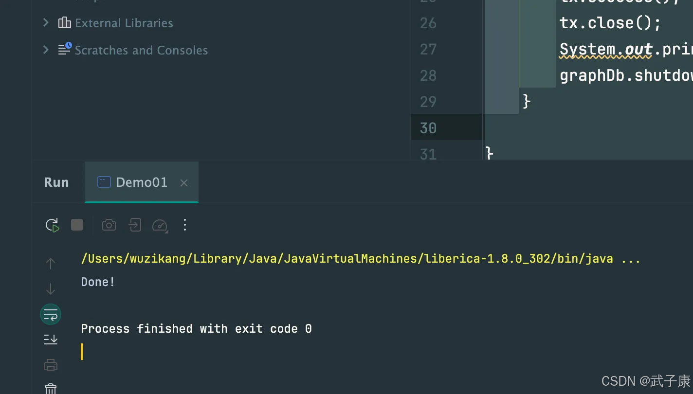 Java 访问 Neo4j 服务