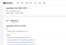 在离线 OpenEuler-22.03 服务器上升级 OpenSSH 的完整指南-171主机测评