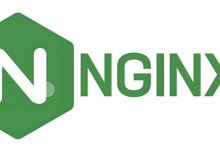 一个高性能的HTTP和反向代理服务器：Nginx-171主机测评