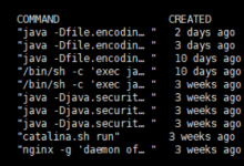【实战案例】从“未上锁的门“到服务器沦陷：Docker Remote API未授权访问漏洞深度解析-171主机测评