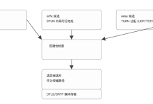 【ZeroRange WebRTC】ICE 服务器列表解析(KVS WebRTC)-171主机测评