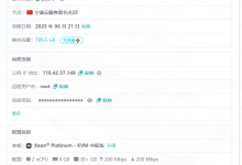 更好的组网——EasyTier自建服务器教程-171主机测评