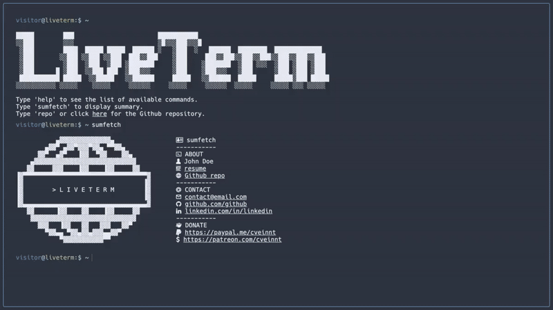 LiveTerm动态演示