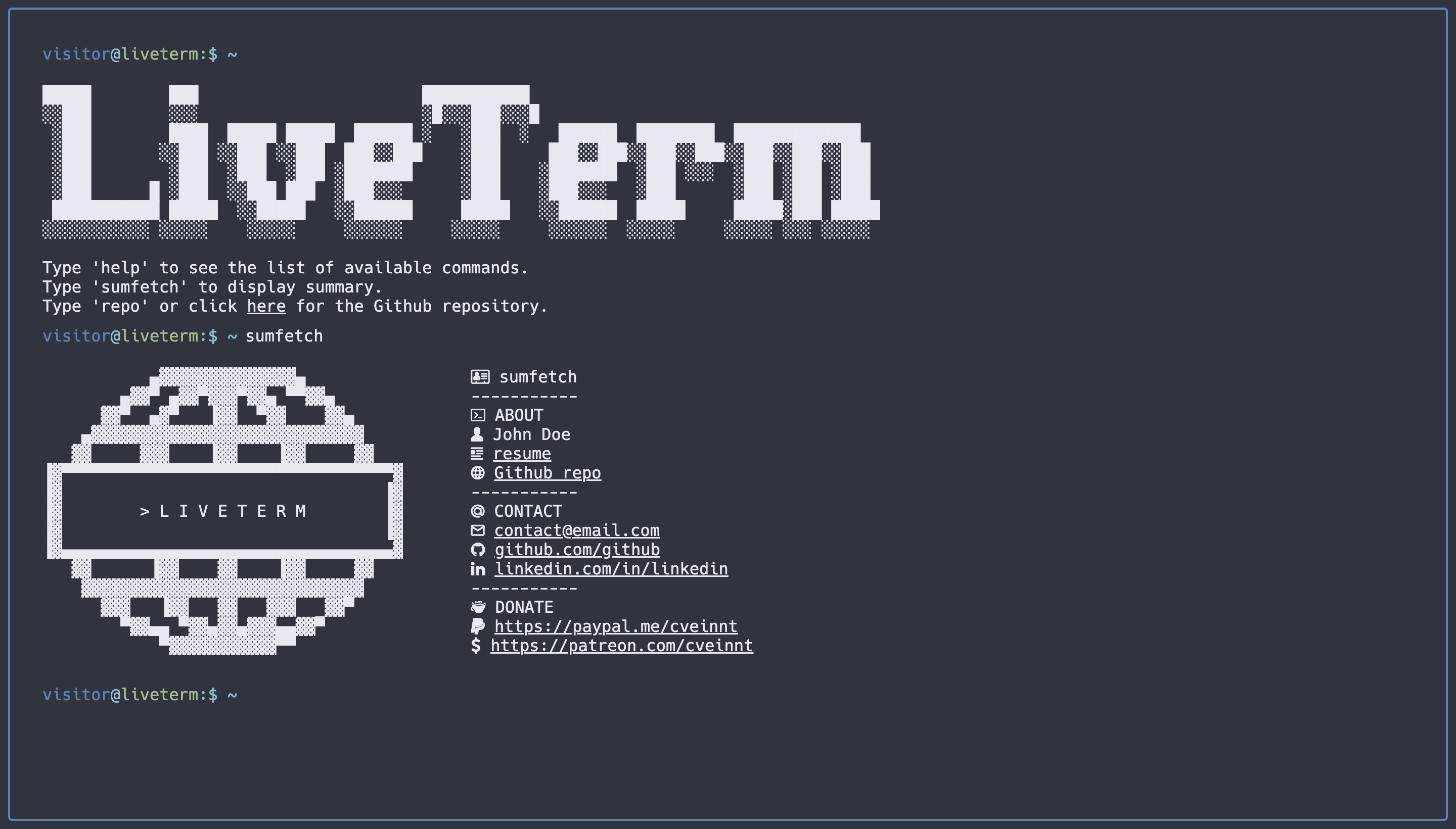 LiveTerm静态演示