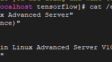 国产服务器使用1-tensorflow-171主机测评