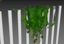 篱笆上也能长满藤蔓?3DMAX常春藤藤蔓生长插件Ivy使用技巧分享!-171主机测评