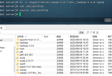Sqoop 1.4.7 安装教程无报错版【手把手教你配置 sqoop】-171主机测评