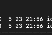 WindTerm 以 SSH 协议的方式通过安恒明御堡垒机间接访问服务器-171主机测评