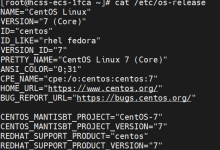【2026/1/18】Terraria泰拉瑞亚1.4.4.9Linux服务器部署与2c2g服务器优化全教程-171主机测评