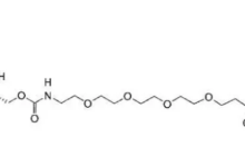 endo-BCN-PEG4-NHS ester,CAS:2252422-32-3,1702356-19-1，内型‑双环 [6.1.0] 壬‑4‑炔‑四聚乙二醇‑N‑羟基琥珀酰亚胺酯-171主机测评
