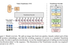 ViT：AN IMAGE IS WORTH 16X16 WORDS: TRANSFORMERS FOR IMAGE RECOGNITION AT SCALE 论文精读-171主机测评