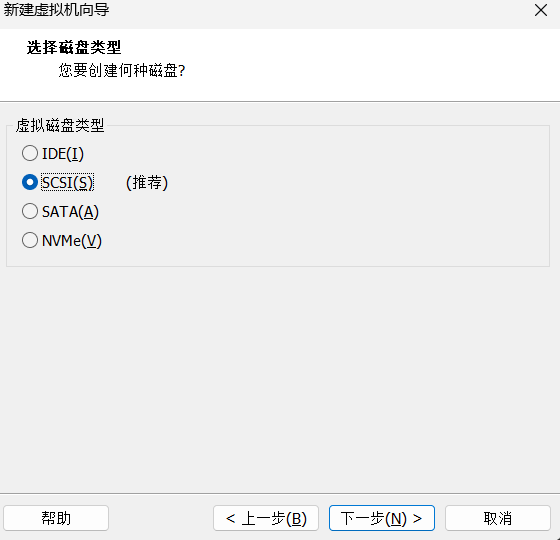 选择磁盘类型