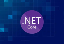 .NET 的 WebApi 项目必要可配置项都有哪些?-171主机测评