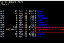 基于Linux平台的openGauss一主两备高可用集群部署与运维实践研究-171主机测评