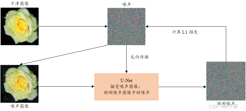 训练流程