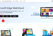 下载安装Microsoft Edge Webview2教程-171主机测评