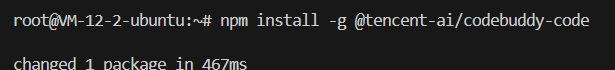 使用 npm 安装 Codebuddy CLI