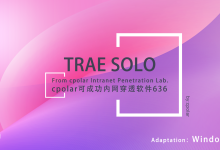 TRAE SOLO让AI当主程序员! cpolar内网穿透实验室第636个成功挑战-171主机测评