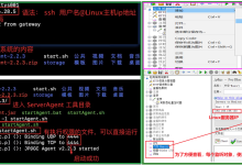 【软件测试】8_性能测试实战 _执行测试脚本-171主机测评