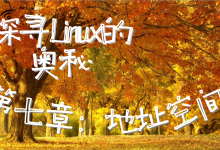 【寻找Linux的奥秘】第七章:虚拟地址空间-171主机测评
