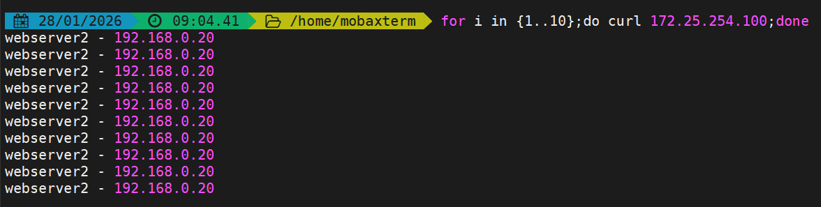 image-20260128090516799
