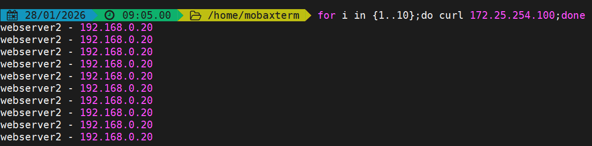image-20260128090559448