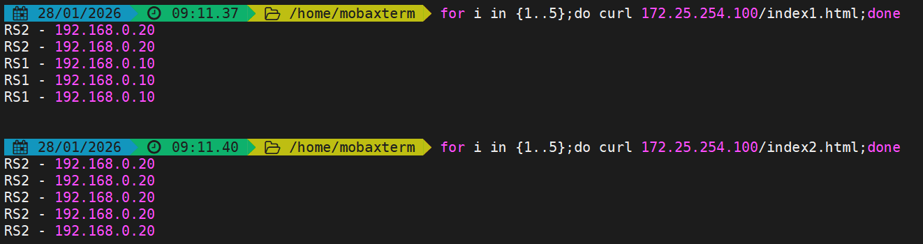 image-20260128091202270