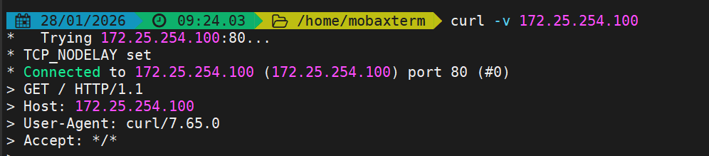 image-20260128092533004