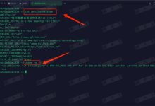 在银河麒麟V10 SP1上手动安装与配置高版本Docker的完整指南-171主机测评