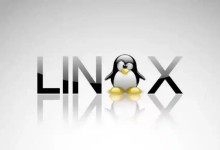 Linux 服务器运维常用命令大全-171主机测评