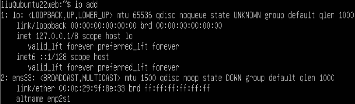 image-20241028002947654