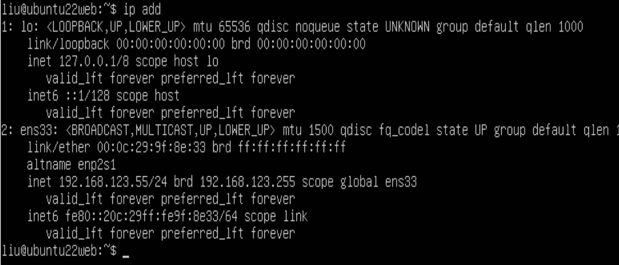 image-20241028015444348
