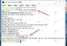 一招解决麒麟系统网络叹号！详解 IPv4 地址完成连接的正确姿势-171主机测评