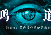 探讨国产实时操作系统选型的要点-171主机测评