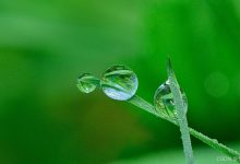 （第一篇）破冰篇：Spring AI 到底是什么？核心亮点拆解与实战指南-171主机测评