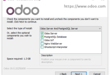 ODOO 社区版安装 vs 企业版安装（windows Linux Docker环境）-171主机测评
