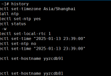 在Linux系统中为history命令添加执行时间戳详细方法-171主机测评