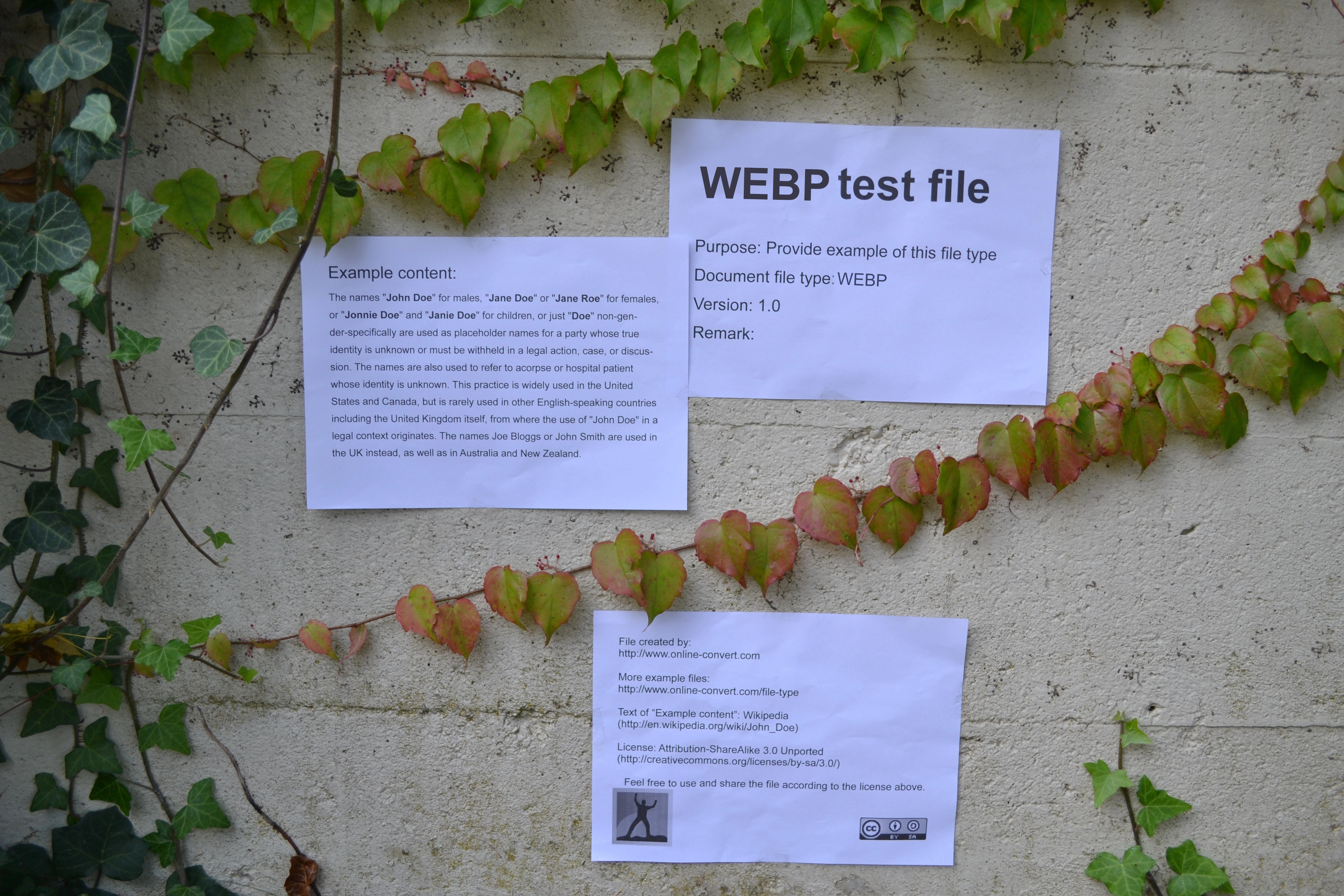 WebP格式性能对比图表