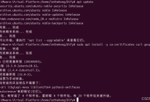 从零开始在Ubuntu上快速部署Docker和Dify:结合 Dify + 蓝耘 MaaS平台打造 AI 应用实战指南-171主机测评
