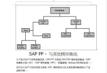 SAP(ERP) 组织结构业务视角解析-171主机测评