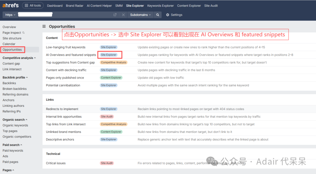 通过Ahrefs网站的“Opportunities 机会”，筛选功能实现ai visibility