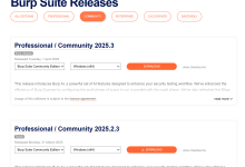 【Linux】安装抓包工具Burp Suite 2025&激活&汉化-171主机测评