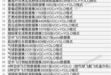 目标检测数据集~各类数据集汇总-171主机测评