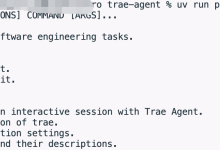 Trae-cli 自动化使用教程实战指南-171主机测评