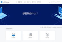 wikihost,微基主机：1核/1G/15G/100Mbps/香港vps/年付700元，送x2内存-171主机测评