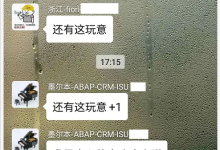 SAP 开发技术和业务知识交流圈-171主机测评
