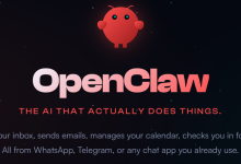 Clawdbot (OpenClaw/Moltbot) 内网穿透部署方案(安全有效-Linux-2026.01.30)-171主机测评