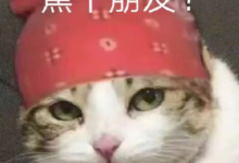 小白前端必看:用HTML+CSS搞定音频波纹加载动画(附完整思路)-171主机测评