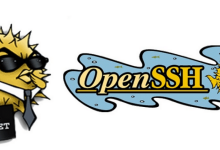 OpenSSH下载安装和使用教程（附安装包，适合新手）-171主机测评